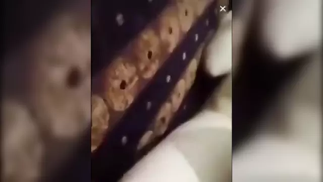 Amateur Azeri porn in Sheki